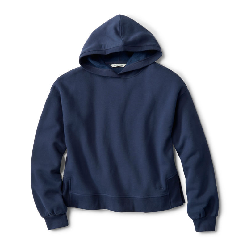 Well-Worn Hoodie - TRUE NAVY image number 5