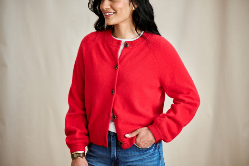 Boiled Cashmere Cardigan - CURRANT image number 2