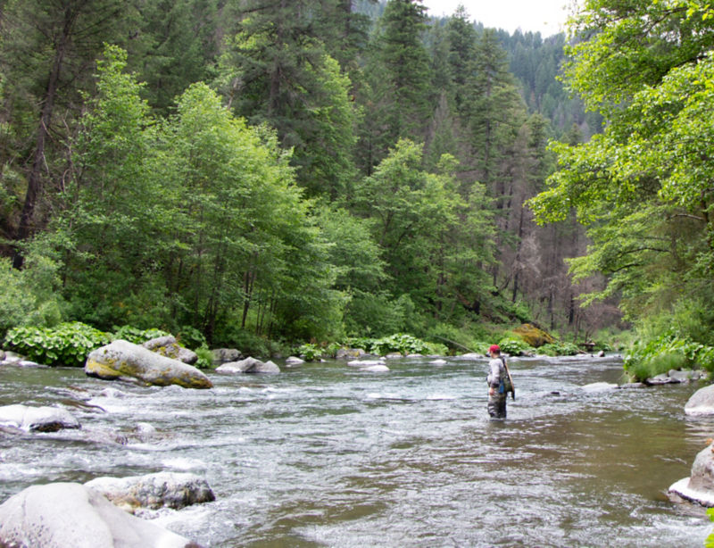 Mat Squilliante, CA -  image number 3