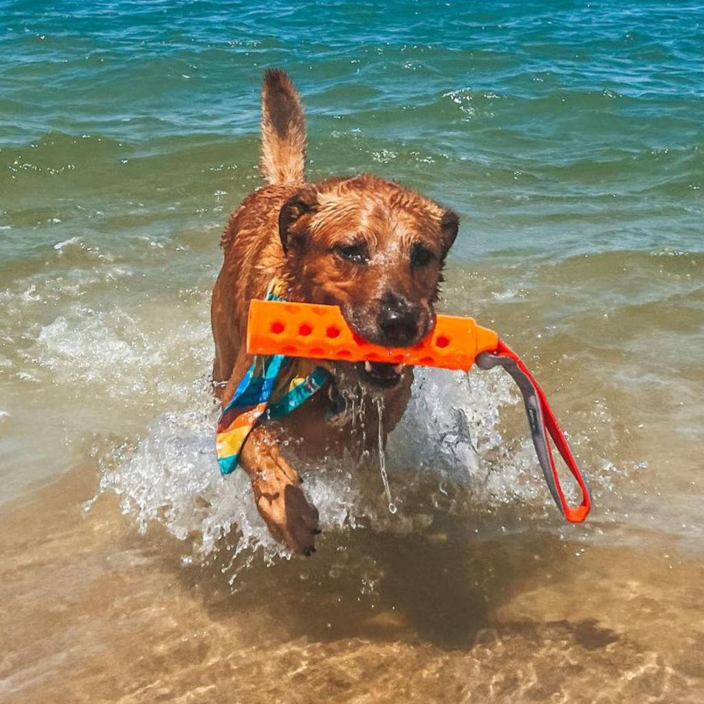 Hydro Floating Dog-Training Bumper -  image number 2