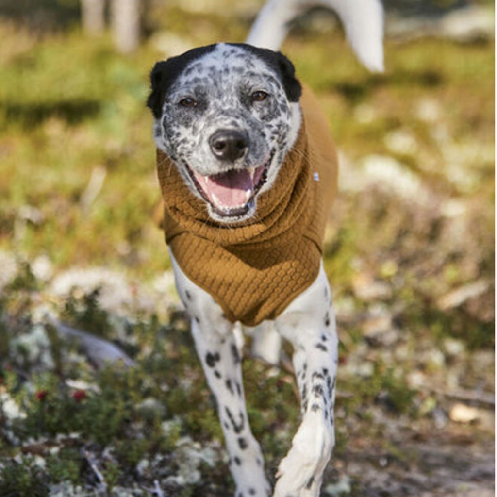 Hurtta Warming Midlayer Eco Dog Jacket -  image number 2