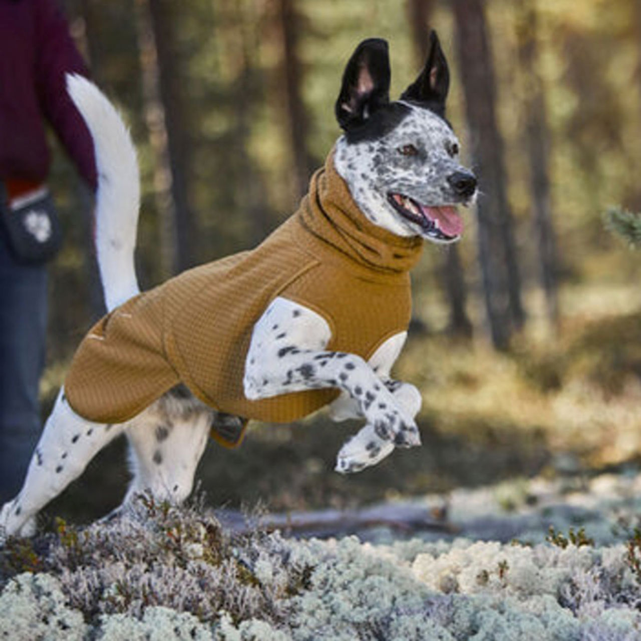 Hurtta Warming Midlayer Eco Dog Jacket -  image number 1