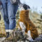 Hurtta Warming Midlayer Eco Dog Jacket -  image number 3