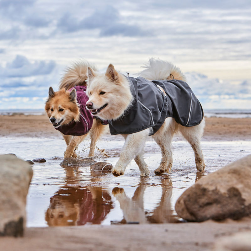 Hurtta Mudventure Eco Dog Raincoat - 
