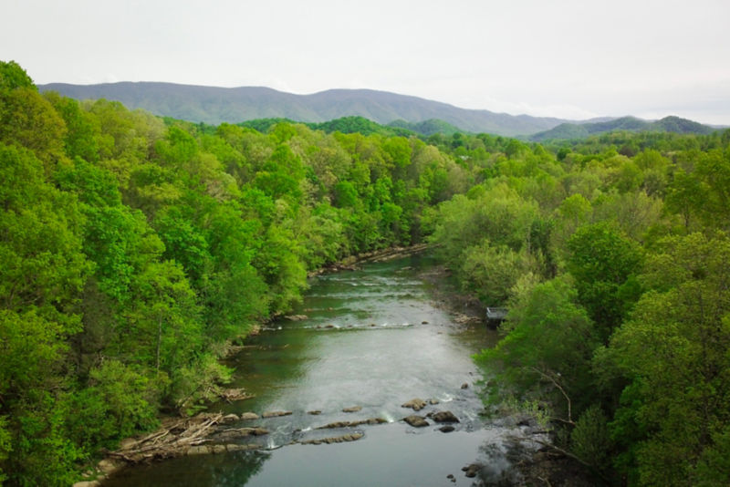 South Holston River Lodge, TN -  image number 4