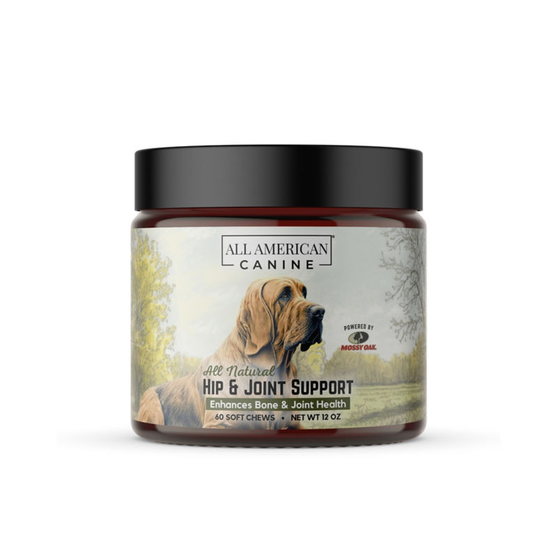 Hip & Joint Support - 