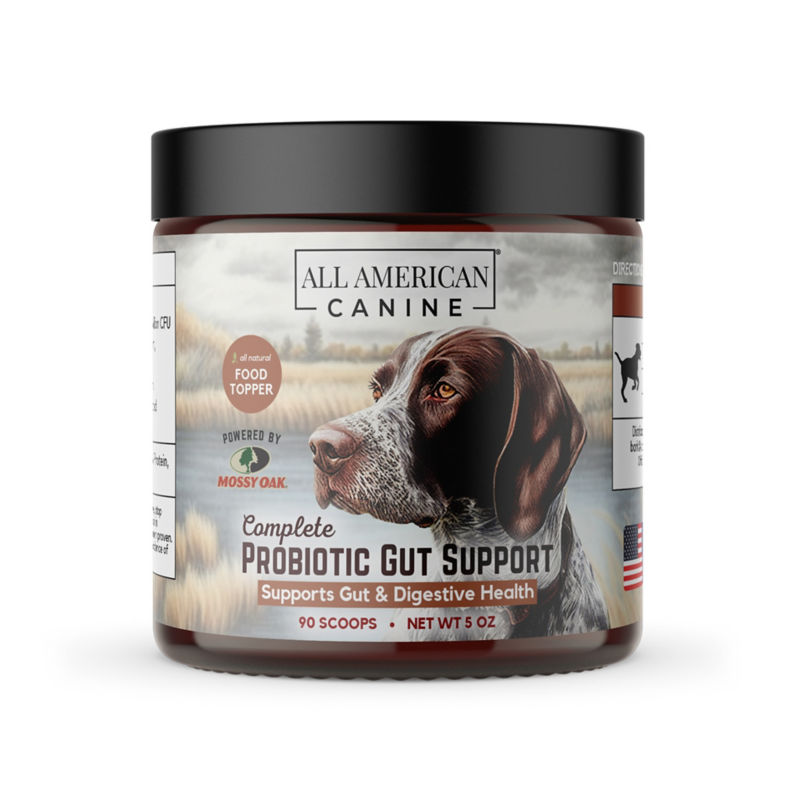 Probiotic Gut Support - 