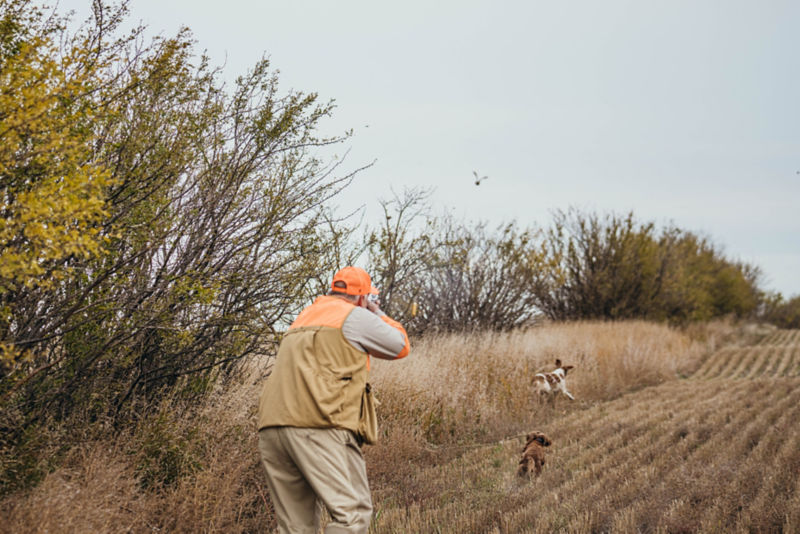 Feathered Fowl Outfitters - 