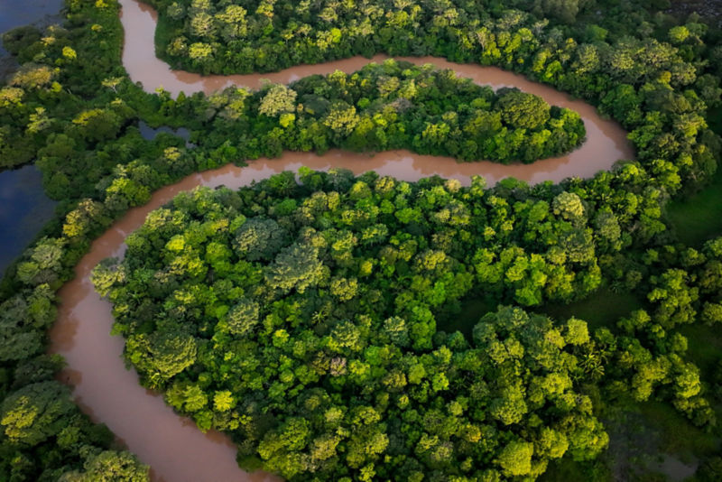 Fly Fishing Costa Rica -  image number 1