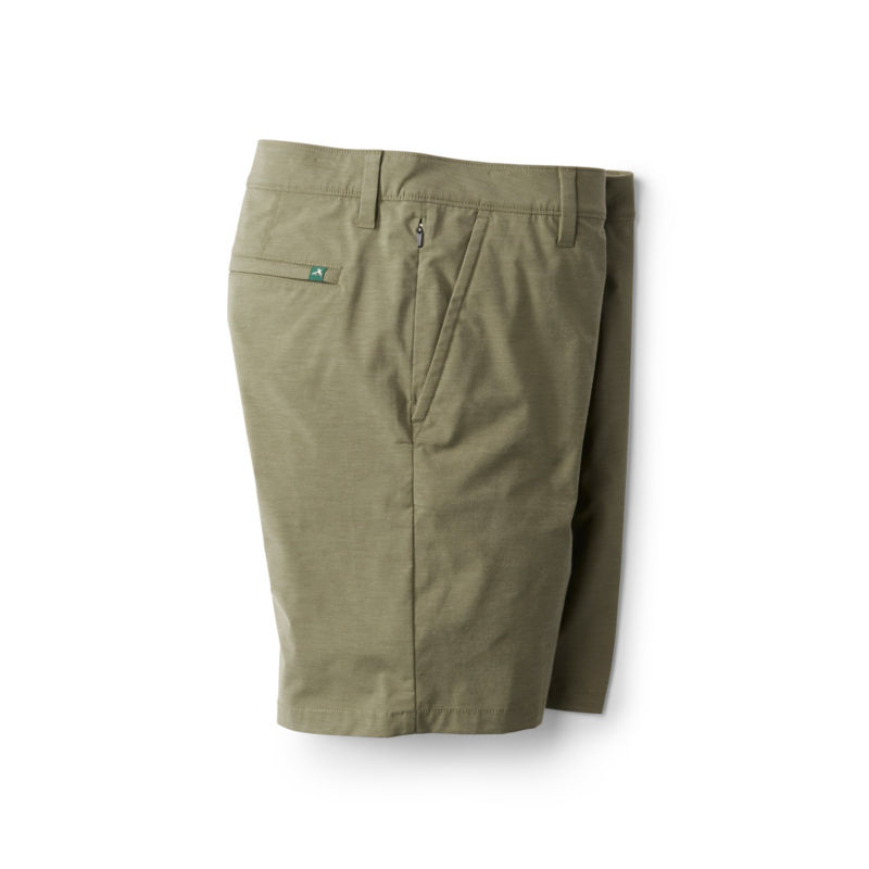 OMO Mr.oat elephantotis子株3点（OC） Platycerium elephantotis