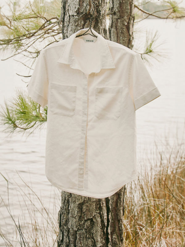 A white button-down short-sleeve shirt hangs in a tree by the water.