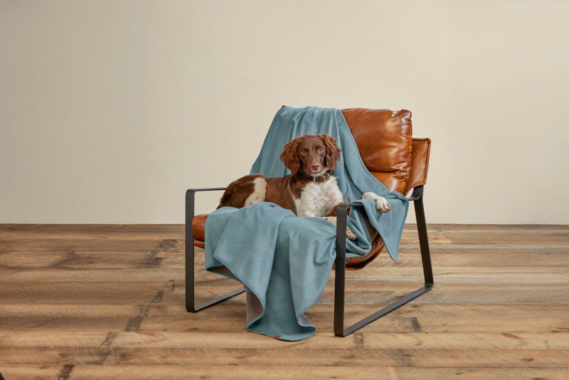 Waterproof Fleece Throw Blanket - BLUE