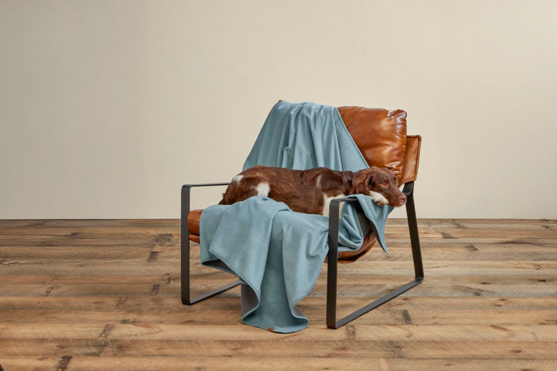 VAULTROOM】DOG & DUCK BLANKET DOG & DUCK BLANKET – VAULTROOM
