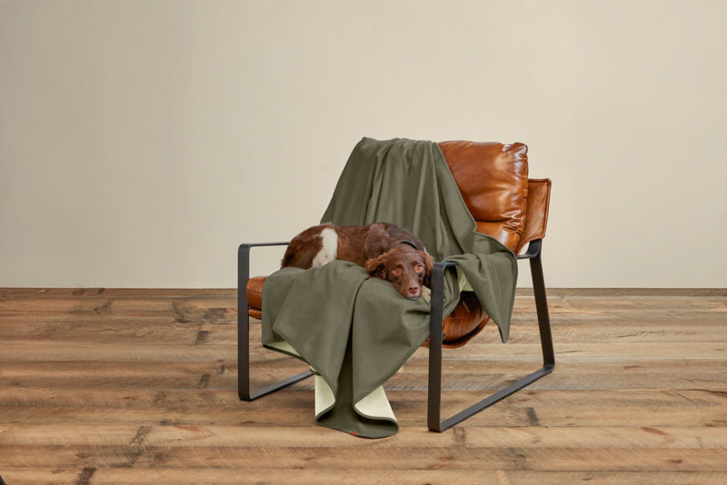 Waterproof Fleece Throw Blanket - OLIVE