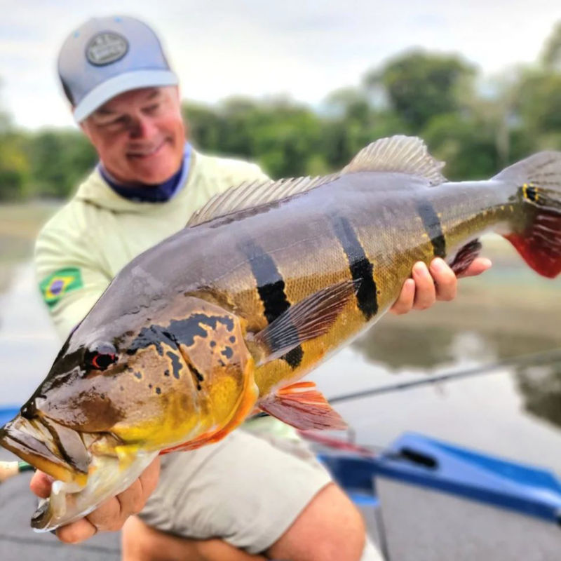 Nomadic Waters Excursions, Brazil - 