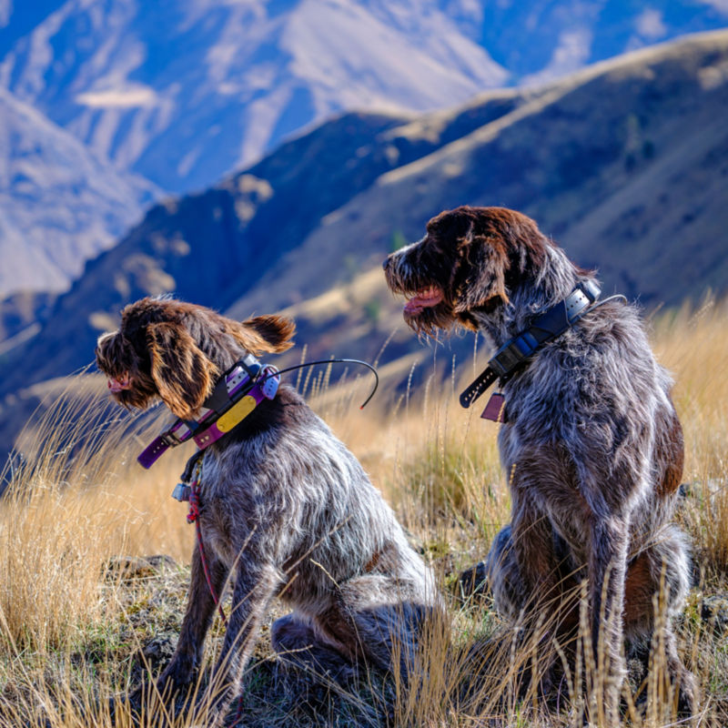 Minam Store Outfitters, OR -  image number 1