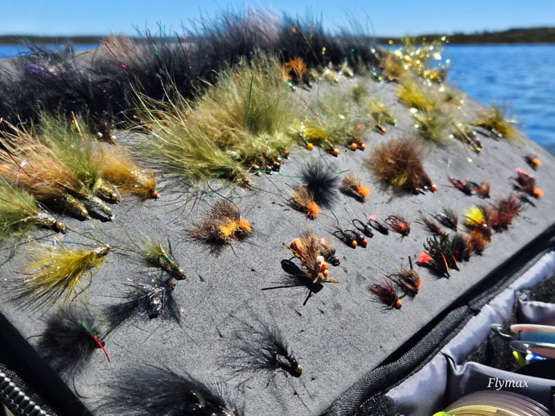 Miena Guiding Tasmania -  image number 2