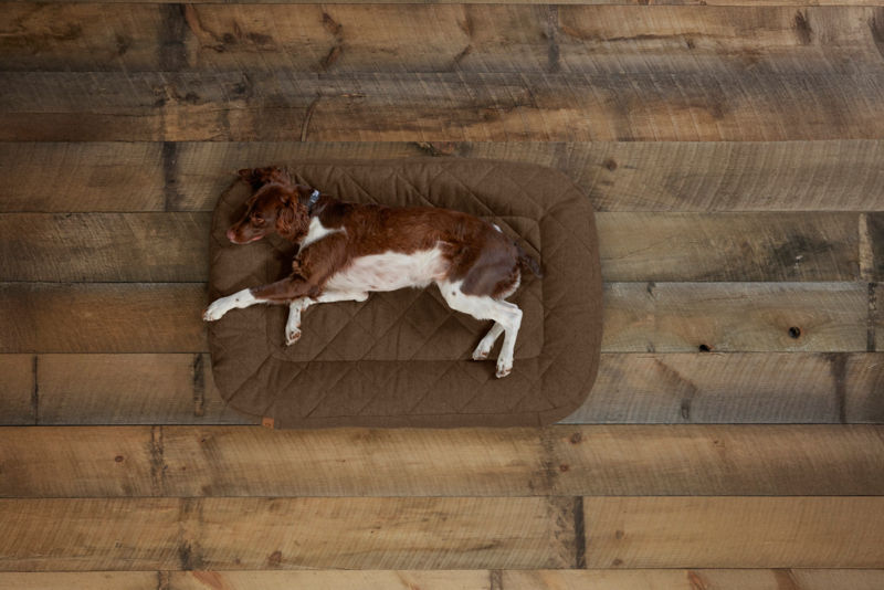Memory Foam Lounger Dog Bed - CHOCOLATE image number 2