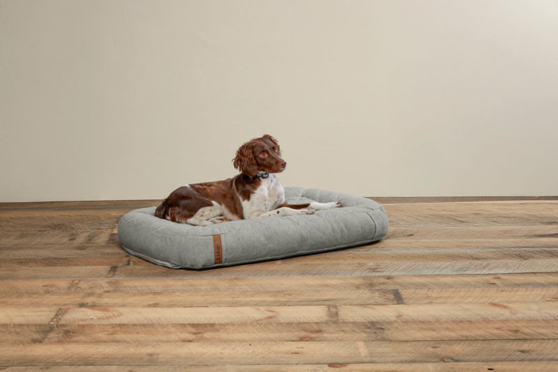 Memory Foam Lounger Dog Bed - LIGHT GRAY image number 1