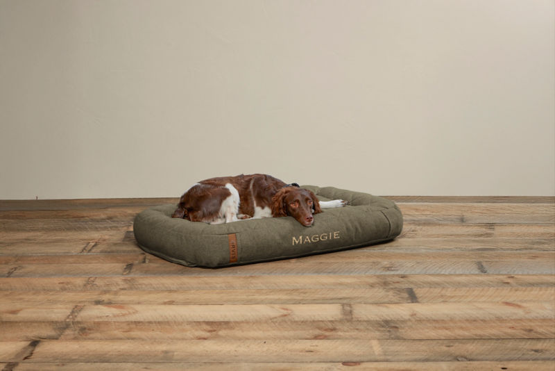 Memory Foam Lounger Dog Bed - OLIVE image number 0