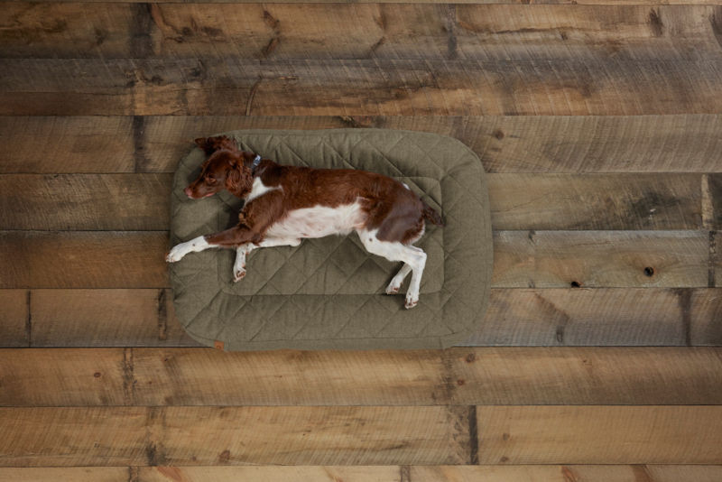 Memory Foam Lounger Dog Bed - OLIVE image number 1