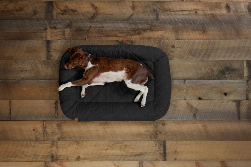 Memory Foam Lounger Dog Bed - CHARCOAL image number 2