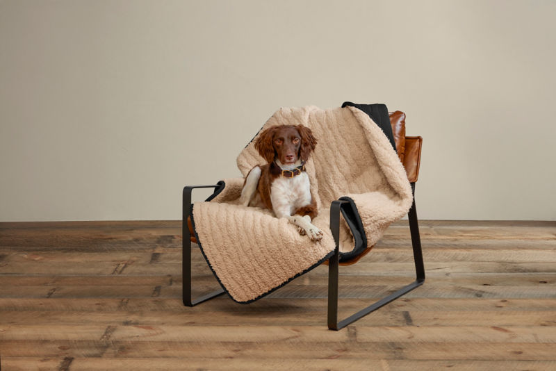 Tough Trail&reg; Softshell Fleece Dog Throw - BLACK image number 1