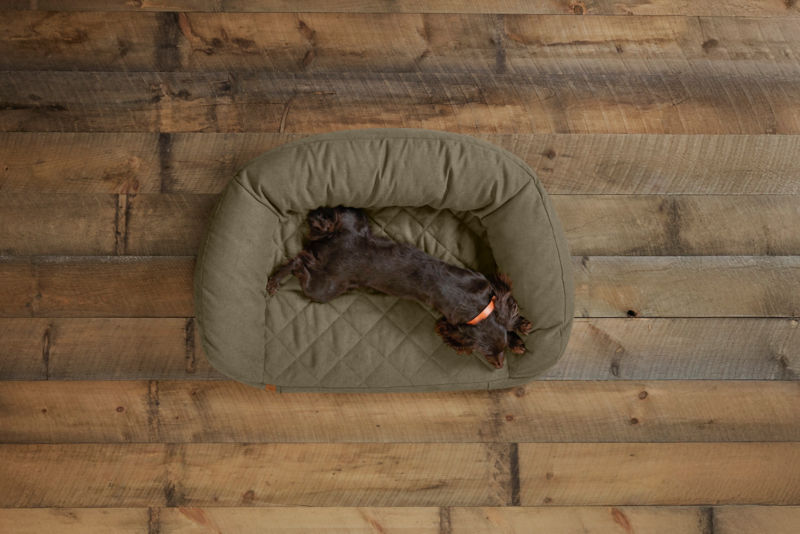 Memory Foam Couch Dog Bed - OLIVE image number 2