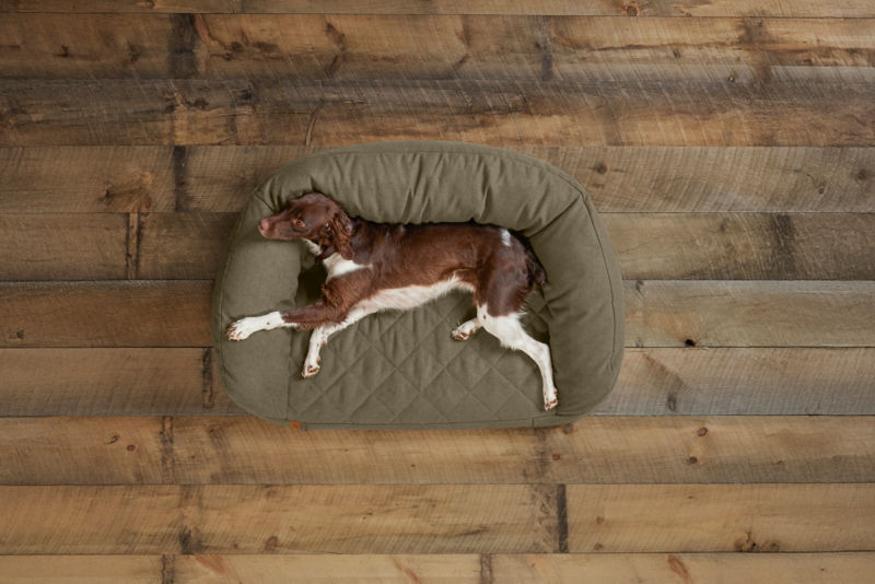 Memory Foam Couch Dog Bed - OLIVE image number 4