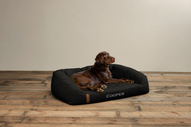 Memory Foam Couch Dog Bed - CHARCOAL image number 1