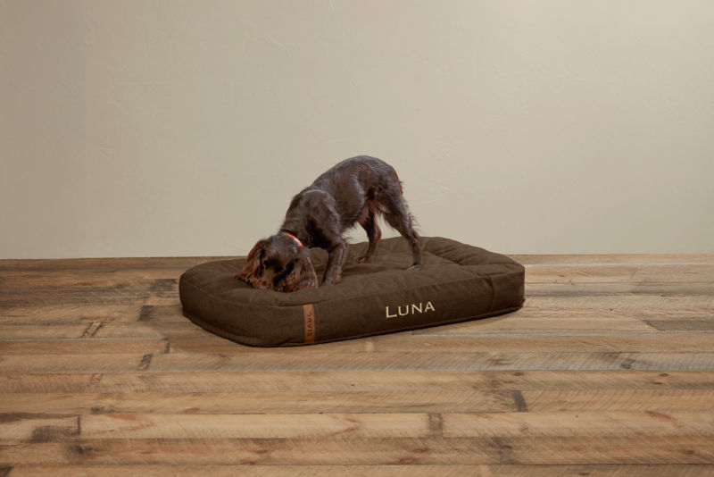 ToughChew&reg; Memory Foam Lounger Dog Bed - CHOCOLATE image number 1