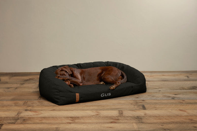 A chocolate labrador retriever sleeps on a black couch bed with the name Gus embroidered on it.
