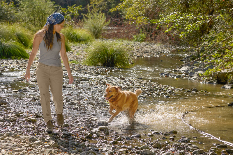 A woman in walks with her dog through a rocky stream.