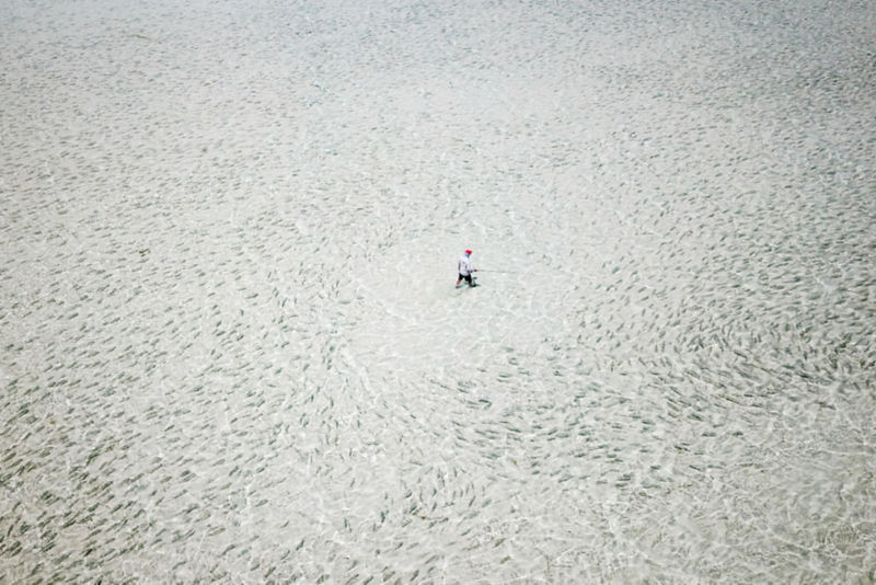 Alphonse Fishing Company -  image number 4