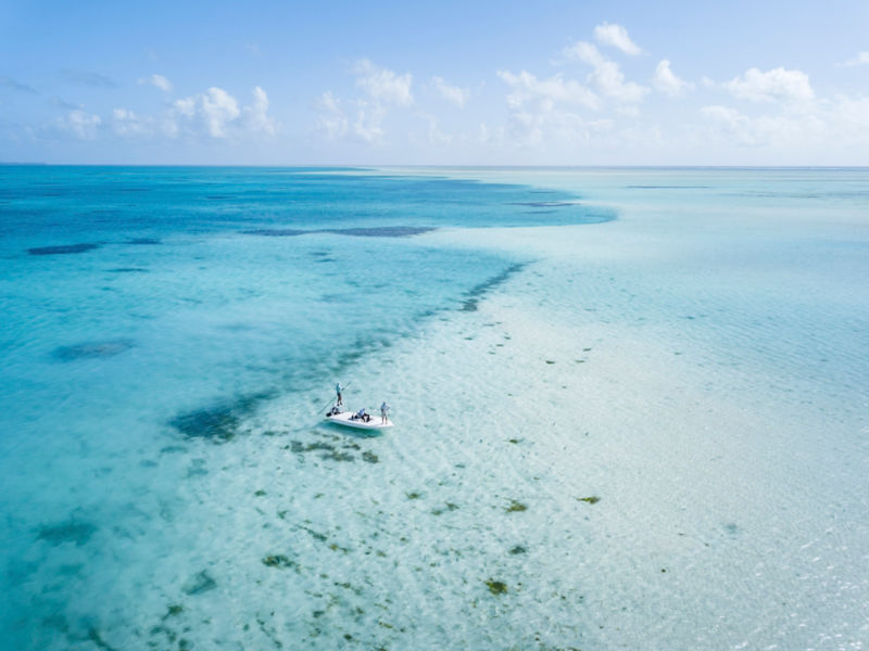 Alphonse Fishing Company -  image number 3