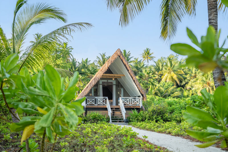 Alphonse Fishing Company -  image number 7