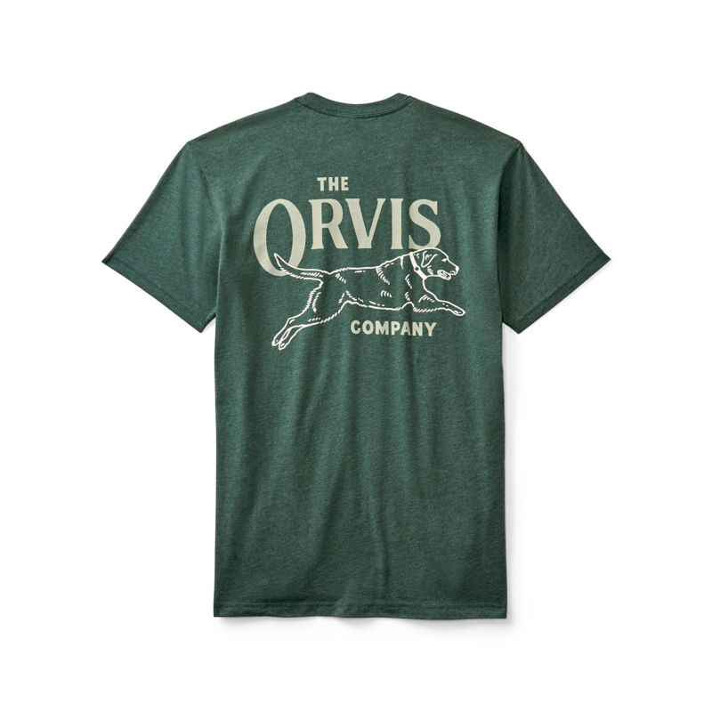 Jumping Lab Graphic T-Shirt - ROSEMARY