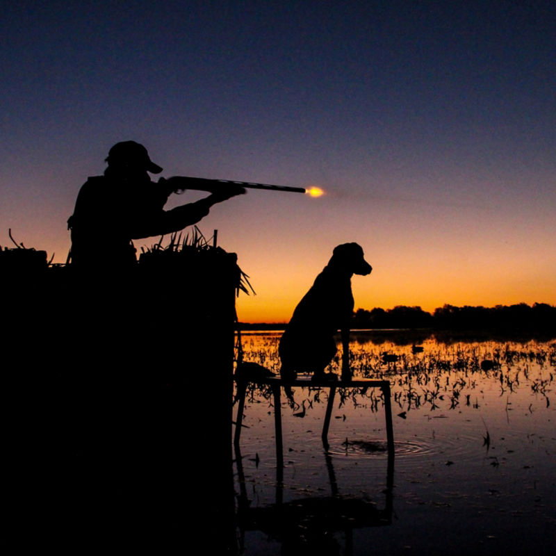 Spread Oaks Lodge, TX -  image number 1