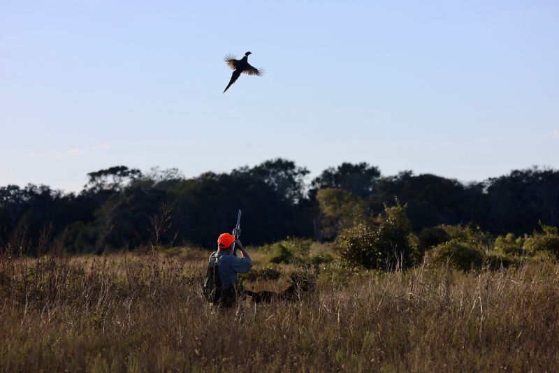 Spread Oaks Lodge, TX -  image number 2