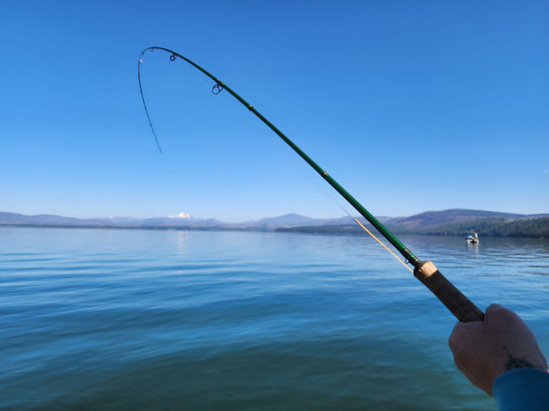 Joe Garza -  image number 1