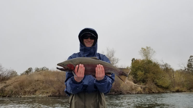 Joe Garza -  image number 3