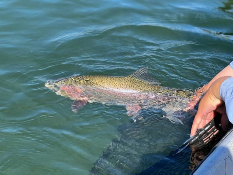 Joe Garza -  image number 4