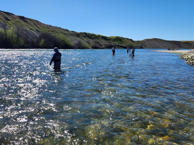 Joe Garza -  image number 5