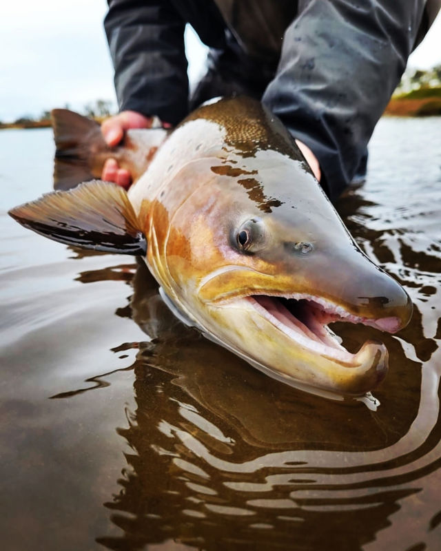 San Jose Lodge -  image number 4