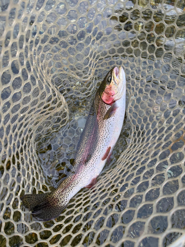 Matt Tempesta&ndash;Tempco Fly Fishing, MA -  image number 4