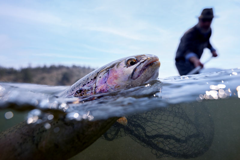 Living Water Guide Service -  image number 5