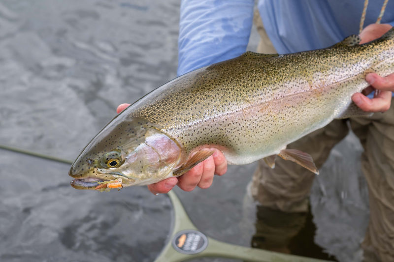 Living Water Guide Service -  image number 2