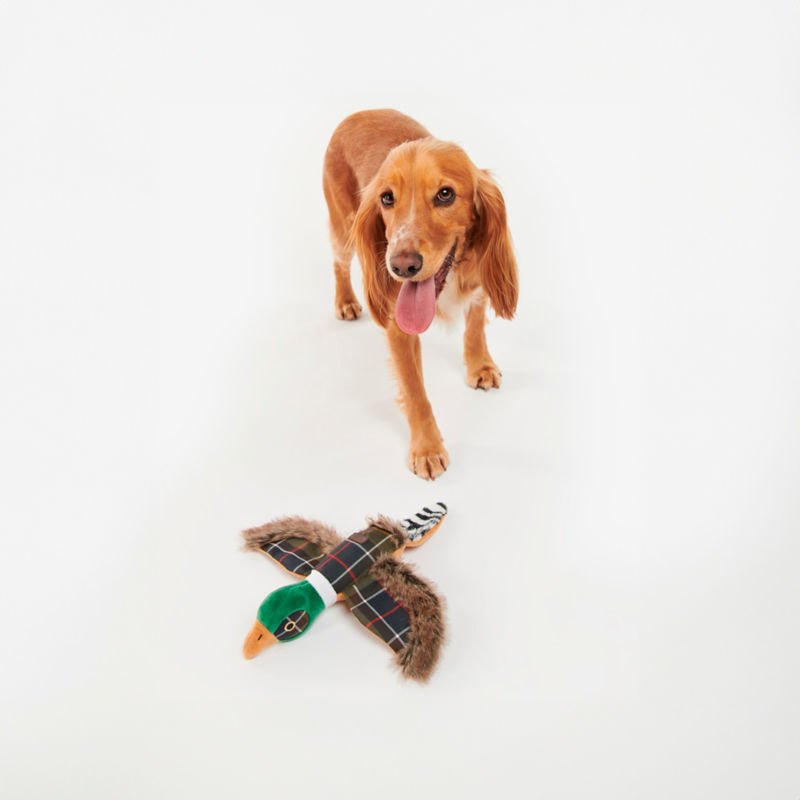 Barbour&reg; Pheasant Dog Toy - 