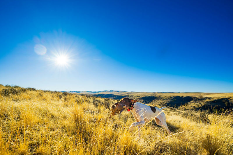 Ruggs Ranch, OR -  image number 6