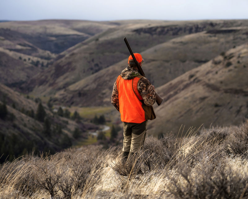 Ruggs Ranch, OR -  image number 1